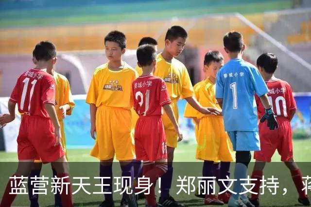 蓝营新天王现身！郑丽文支持，蒋万安支持，韩国瑜与赵少康也支持
